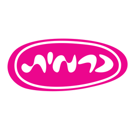 כרמית